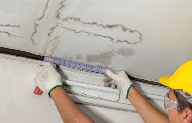 Reliable Water Damage contractor in Blackstone, VA by Water Damage Irwin